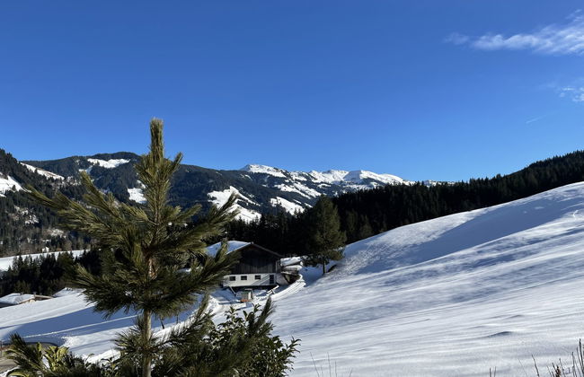 Apartamento de 2 quartos em Wildschönau com jardim e terraço - Foto 31