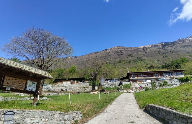 Casa de 2 quartos em Cercino com jardim - Foto 30