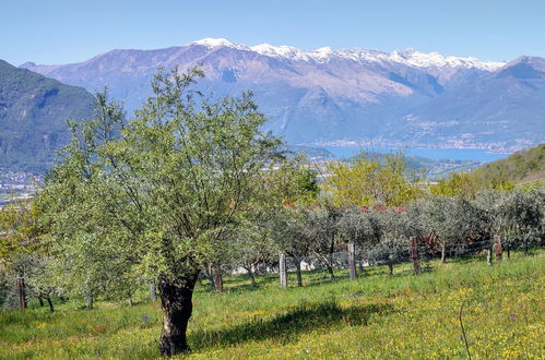 Photo 32 - Maison de 1 chambre à Cercino avec jardin et vues sur la montagne