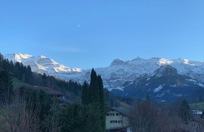 Apartamento de 2 quartos em Lenk - Foto 5