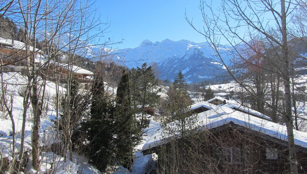 Apartamento de 2 quartos em Lenk - Foto 4