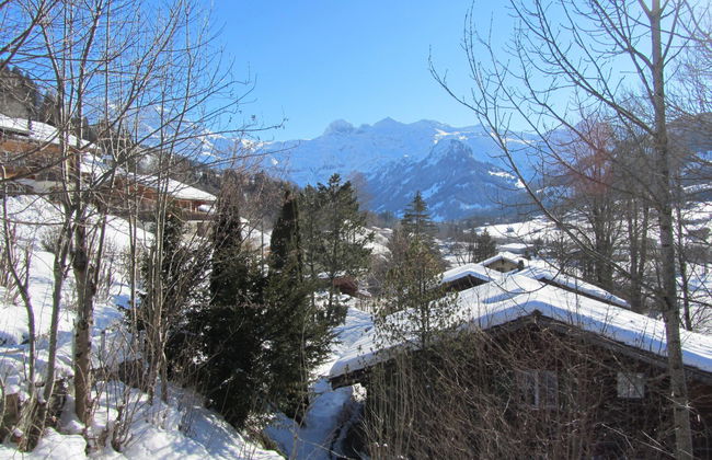 Apartamento de 2 quartos em Lenk - Foto 4