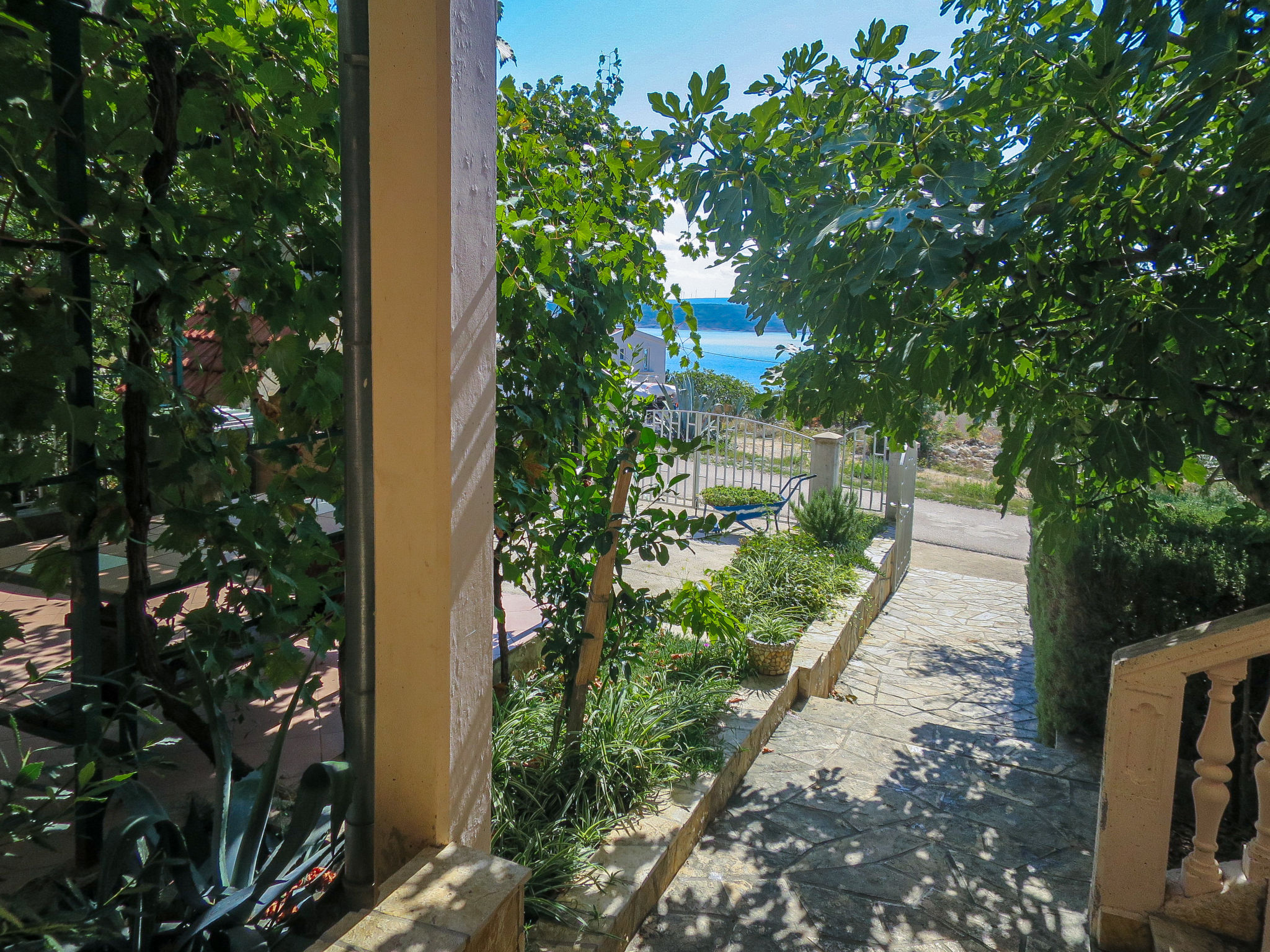 Foto 11 - Casa de 6 quartos em Jasenice com terraço e vistas do mar