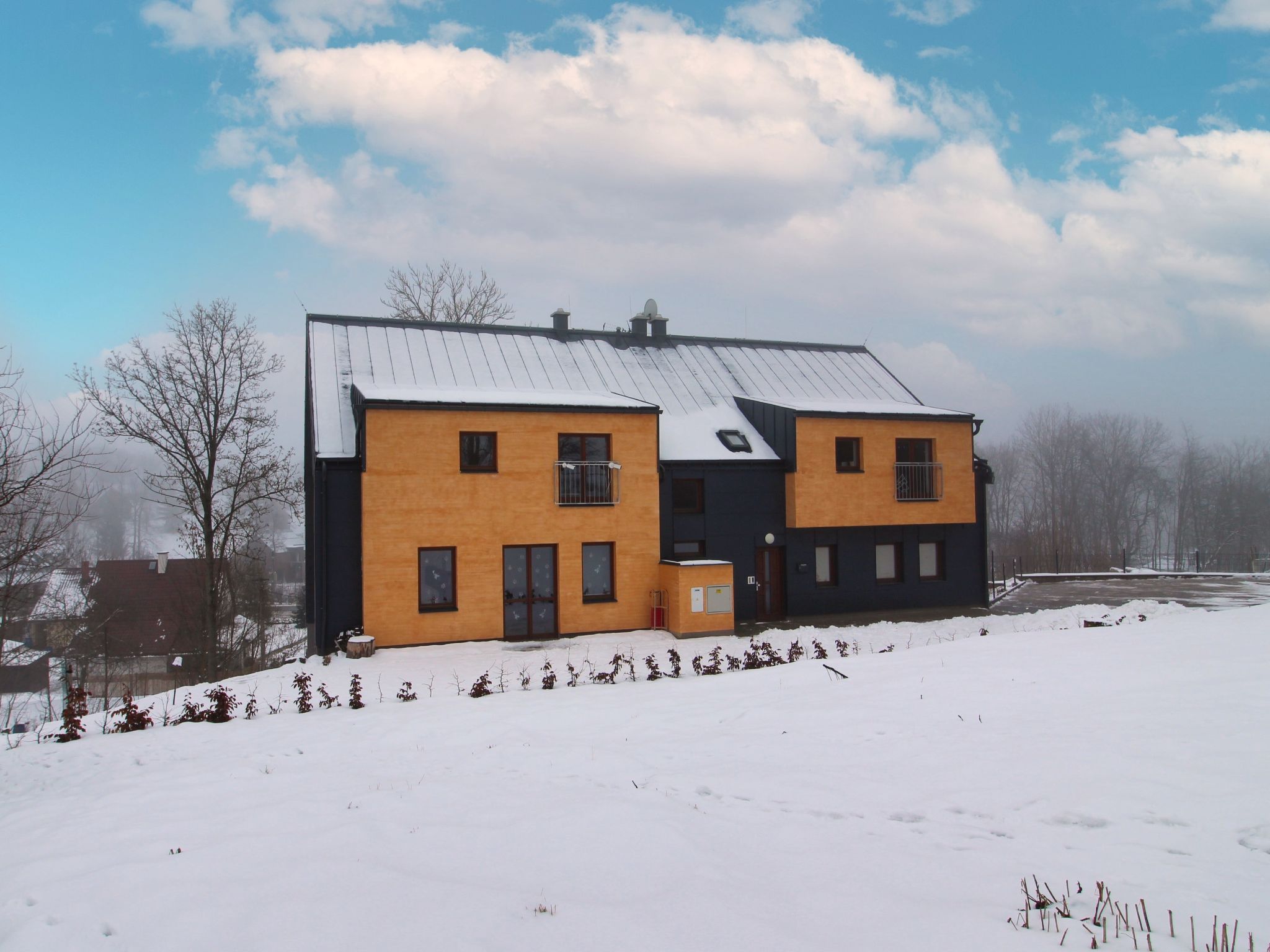 Foto 18 - Apartamento de 2 habitaciones en Černý Důl con piscina y vistas a la montaña