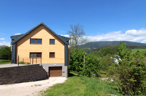 Foto 11 - Apartment mit 2 Schlafzimmern in Černý Důl mit schwimmbad und blick auf die berge