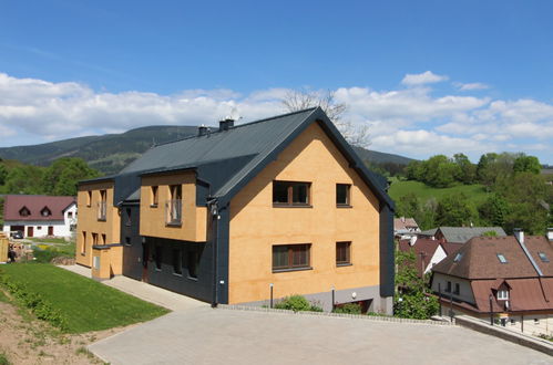 Foto 15 - Appartamento con 2 camere da letto a Černý Důl con piscina e vista sulle montagne