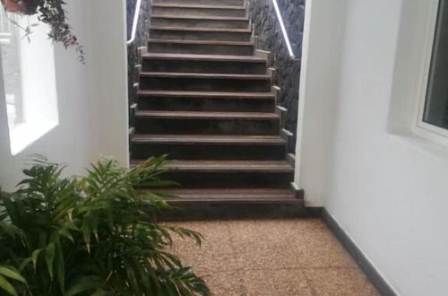 Foto 13 - Acuario Sol