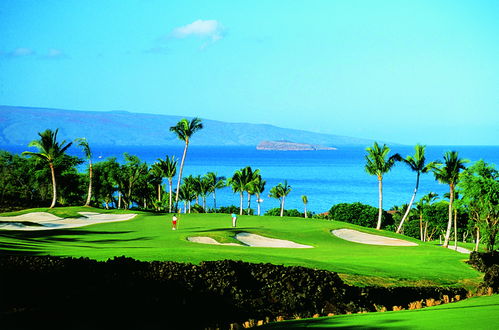 Photo 52 - Palms at Wailea Maui