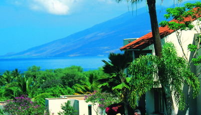 Photo 1 - Palms at Wailea Maui