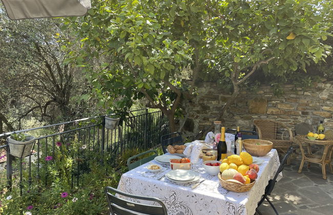 Apartamento de 2 quartos em Cipressa com jardim - Foto 6