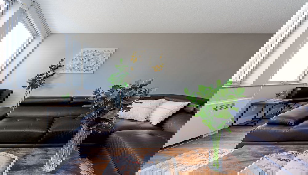 Image principale