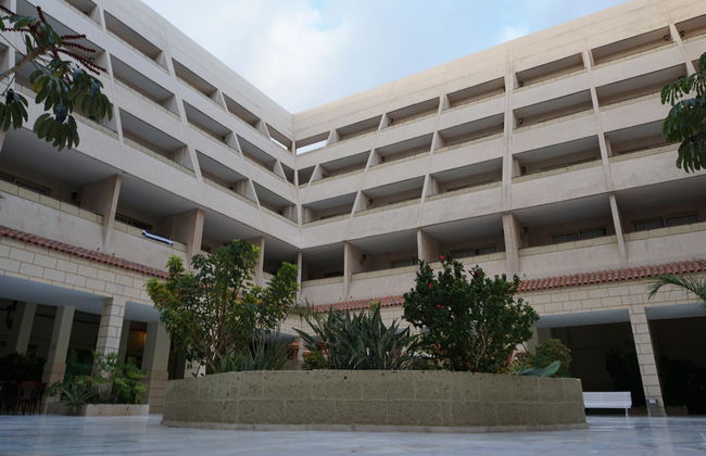 Las Piramides - Foto 23