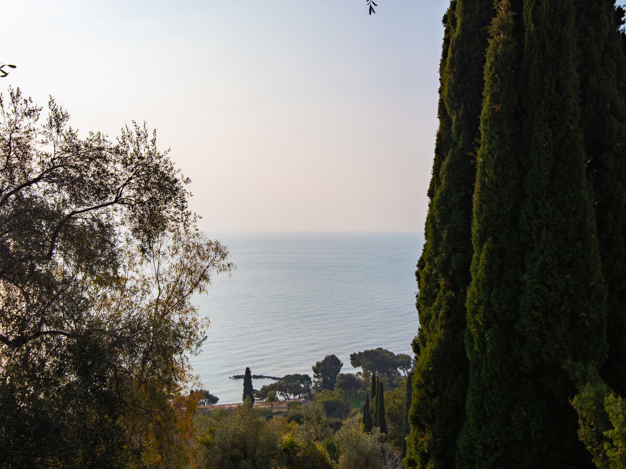 Foto 18 - Appartamento con 2 camere da letto a Ventimiglia con giardino e terrazza