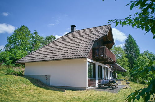 Foto 20 - Haus mit 3 Schlafzimmern in Frankenau mit garten und blick auf die berge