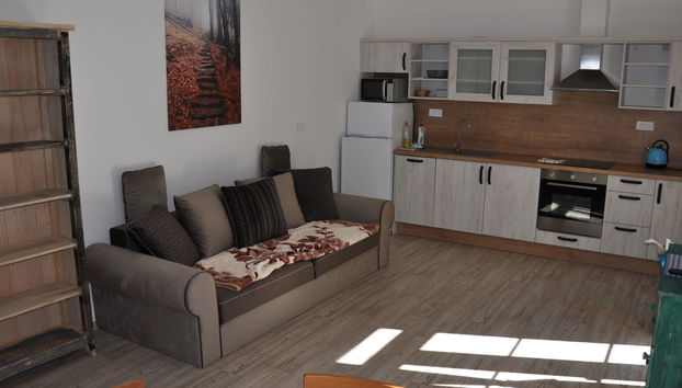 Apartamento de 1 quarto em Desná com jardim e terraço - Foto 3