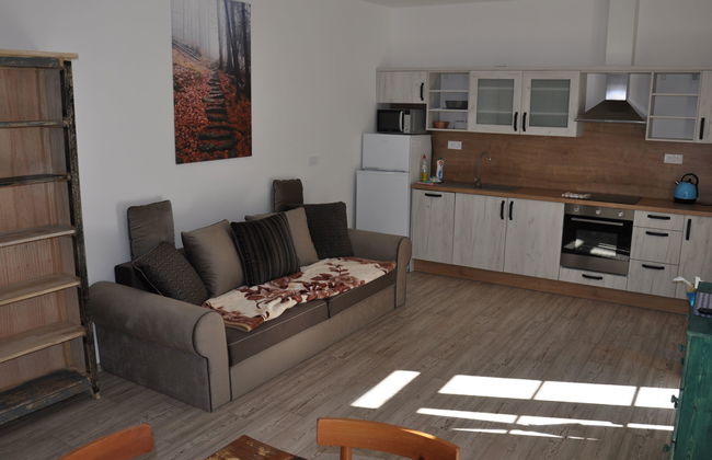 Apartamento de 1 quarto em Desná com jardim e terraço - Foto 3
