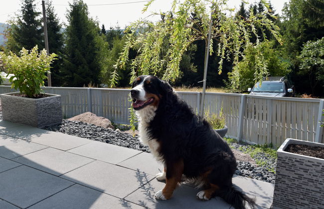2 bedroom House in Suhl with garden and terrace - Photo 12