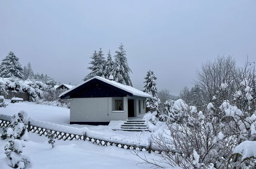 Foto 14 - Casa de 2 quartos em Suhl com jardim e terraço