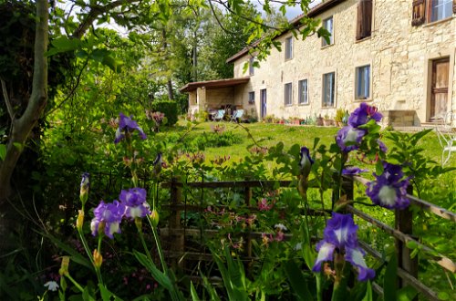 Photo 20 - 2 bedroom House in Grazzano Badoglio with garden