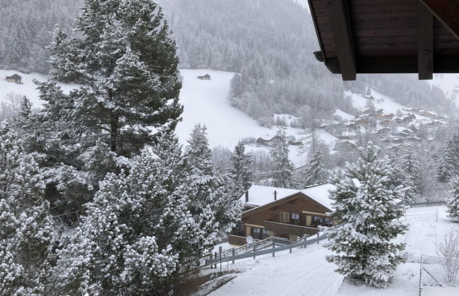 Apartment mit 2 Schlafzimmern in Zweisimmen - Foto 7