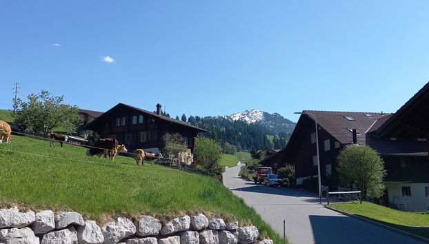 Apartamento de 2 quartos em Zweisimmen - Foto 4