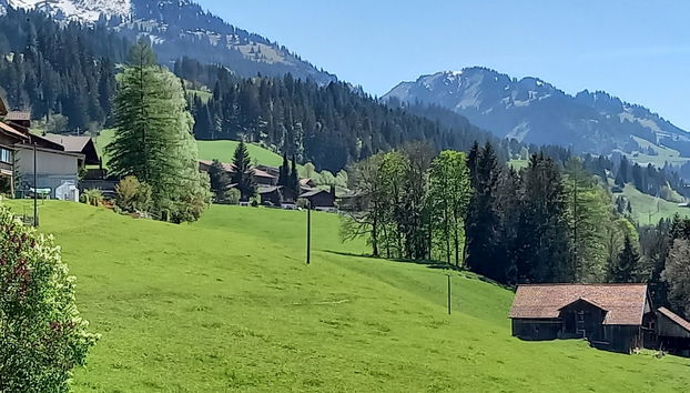 Apartamento de 2 quartos em Zweisimmen - Foto 5