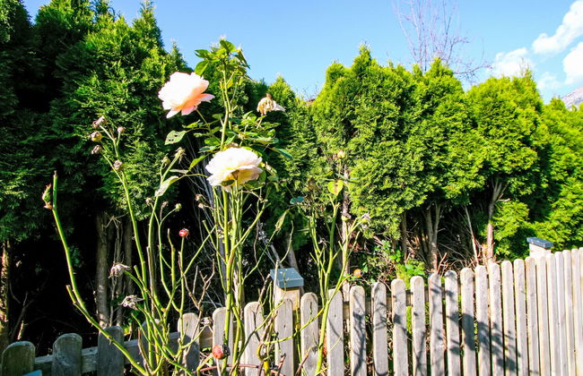 Appartamento con 3 camere da letto a Wiesing con giardino e terrazza - Foto 25