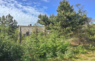 Foto 3 - Casa de 2 quartos em Ulfborg com terraço