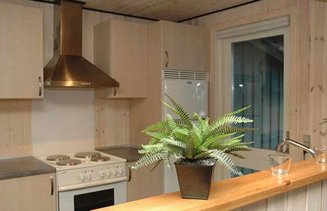 Casa de 3 quartos em Hejls com terraço e sauna - Foto 6
