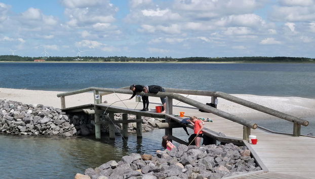 Haus mit 3 Schlafzimmern in Vinderup mit terrasse - Foto 3