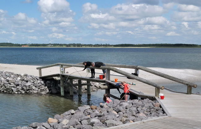 Casa de 3 quartos em Vinderup com terraço - Foto 3