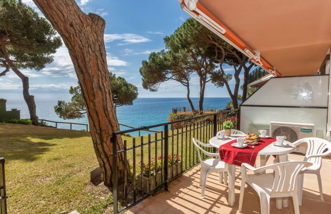 Cavall Bernat - Photo 12