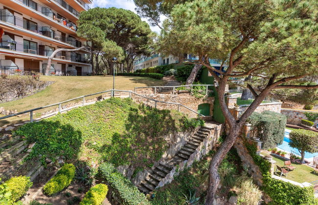 Cavall Bernat - Photo 17