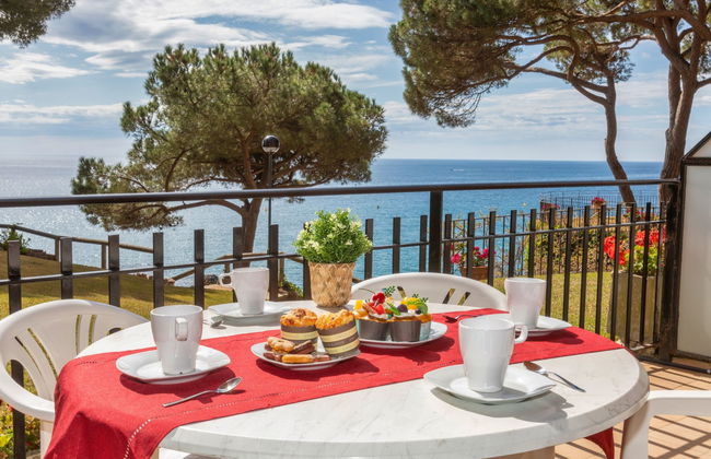 Cavall Bernat - Photo 13