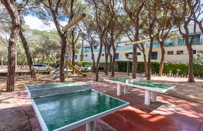 Cavall Bernat - Photo 15