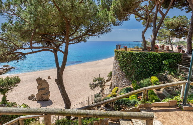 Cavall Bernat - Photo 16