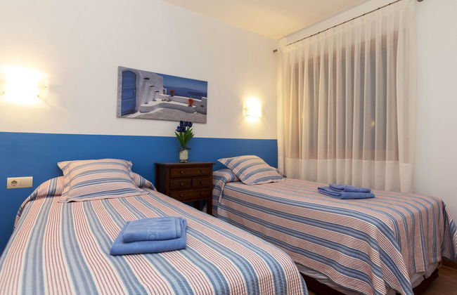 Cavall Bernat - Photo 10