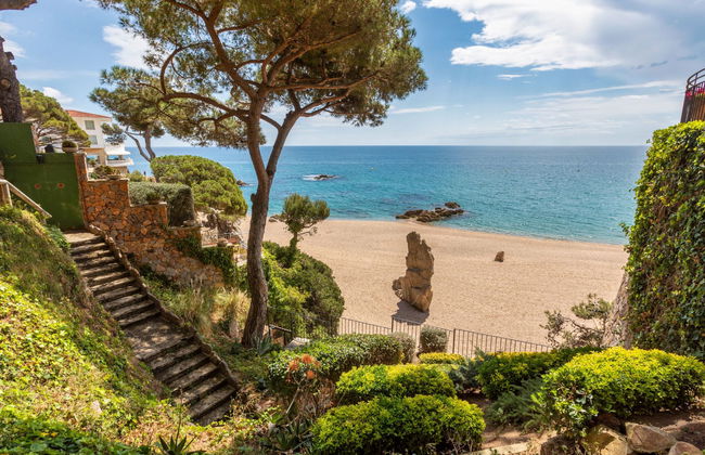 Cavall Bernat - Photo 18