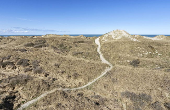 Haus mit 3 Schlafzimmern in Pandrup mit terrasse - Foto 15