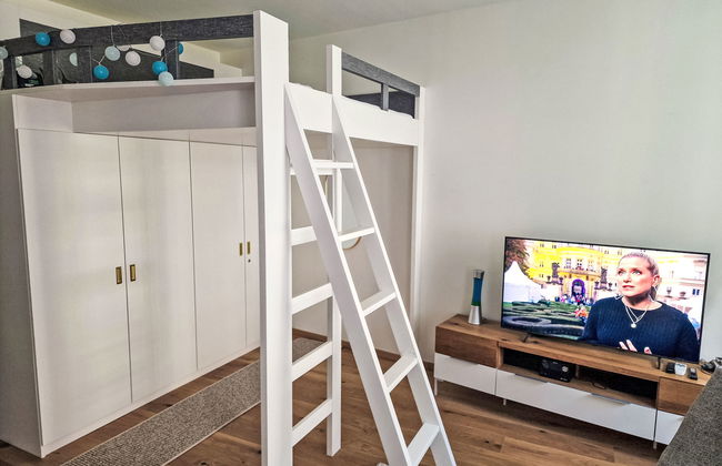 Apartamento de 1 quarto em Viena - Foto 18