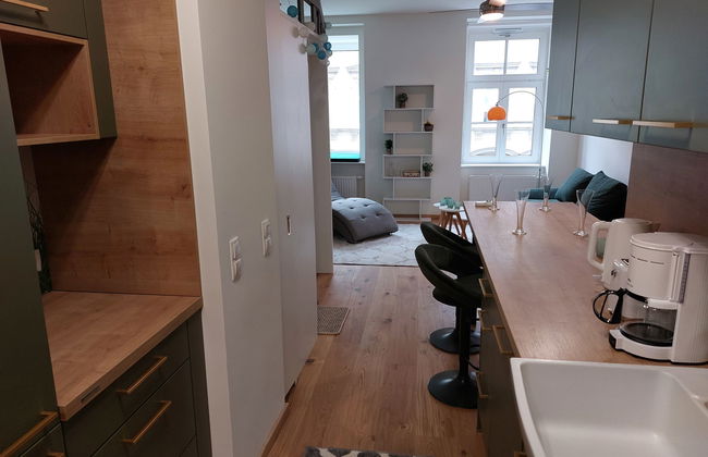 Apartamento de 1 quarto em Viena - Foto 15