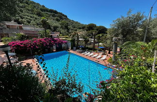 Photo 2 - 2 bedroom Apartment in Massa Lubrense with swimming pool and sea view