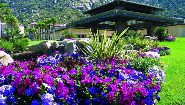 The Welk by Vacation Club Rentals - Foto 3