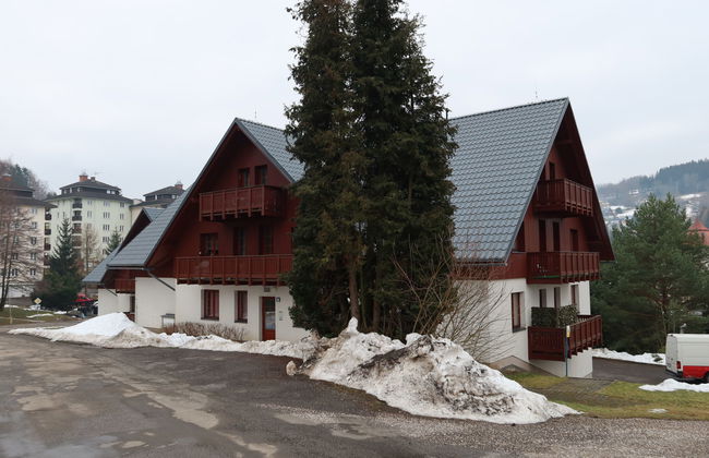 Apartamento de 1 quarto em Rokytnice nad Jizerou - Foto 12