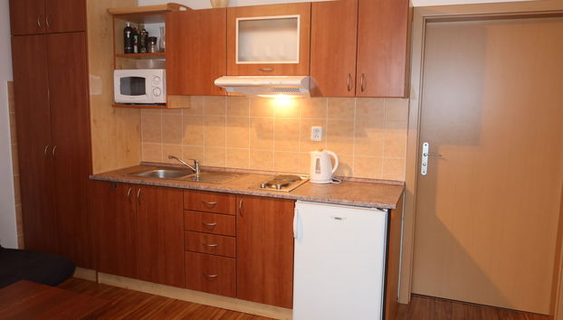 Apartment mit 1 Schlafzimmer in Rokytnice nad Jizerou - Foto 4