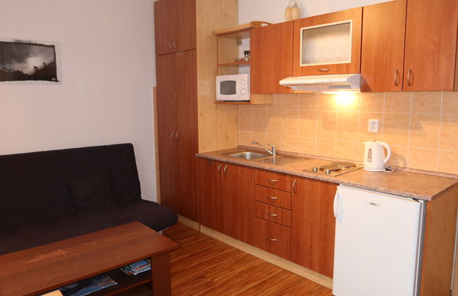 Apartamento de 1 quarto em Rokytnice nad Jizerou - Foto 8