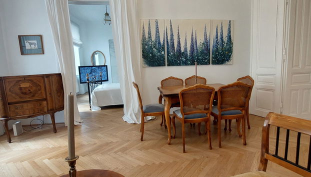 Apartamento de 2 quartos em Viena - Foto 5