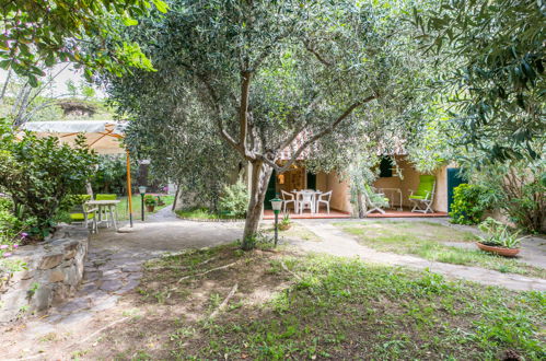 Foto 46 - Haus mit 2 Schlafzimmern in Castiglione della Pescaia mit garten und blick aufs meer