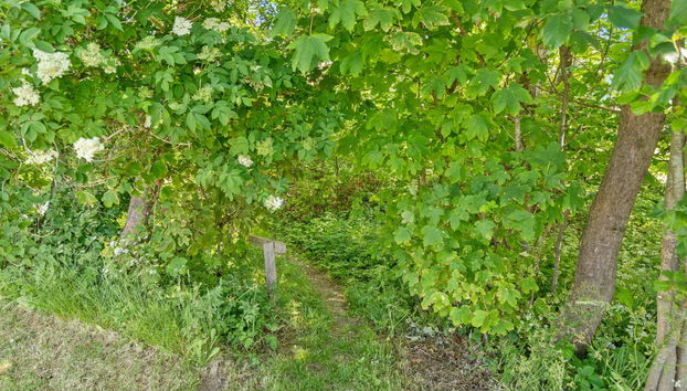 Haus mit 6 Schlafzimmern in Tranekær mit terrasse - Foto 4