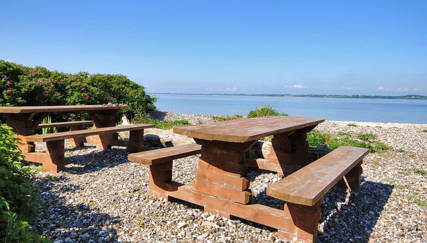 Haus mit 5 Schlafzimmern in Roslev mit terrasse und sauna - Foto 4